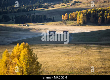 Alpe di Siusi, le Tyrol du Sud, Italie Banque D'Images