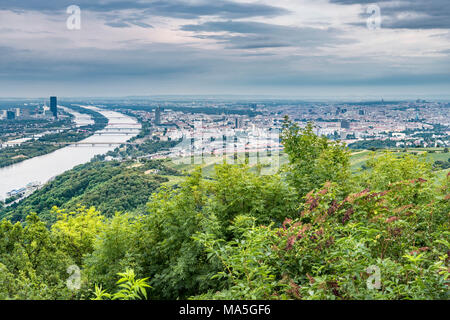 Vienne, Autriche, Europe. Vue panoramique de Vienne du Leopoldsberg Banque D'Images