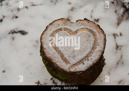 Coeur dans la neige sur une souche d'arbre, Parc National de Harz, Allemagne, Banque D'Images