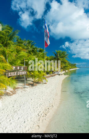 Belle plage de sable blanc bordée de cocotiers dans les eaux turquoises de Tikehau, Tuamotu, Polynésie Française Banque D'Images