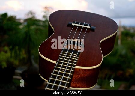 L'adaptation de l'ukulélé hawaiien portugais machette, une petite guitare comme instrument. Banque D'Images