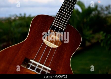 L'adaptation de l'ukulélé hawaiien portugais machette, une petite guitare comme instrument. Banque D'Images