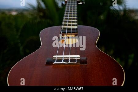 L'adaptation de l'ukulélé hawaiien portugais machette, une petite guitare comme instrument. Banque D'Images