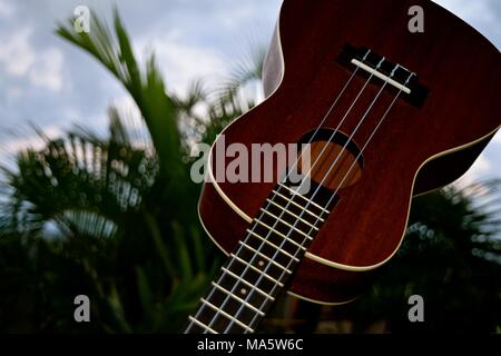 L'adaptation de l'ukulélé hawaiien portugais machette, une petite guitare comme instrument. Banque D'Images