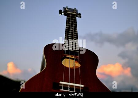 L'adaptation de l'ukulélé hawaiien portugais machette, une petite guitare comme instrument. Banque D'Images
