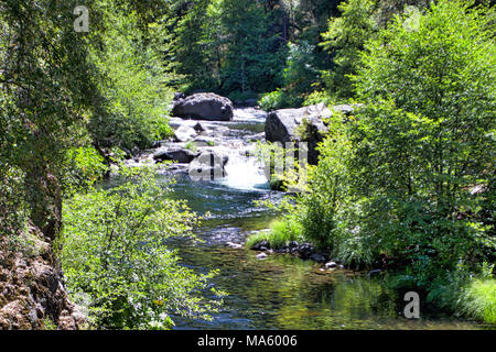 Abaisser Deer Creek Falls Projet de passage du poisson. Banque D'Images