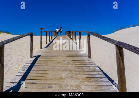 Chemin de la plage entre les dunes de sable de Costa Nova beach. Aveiro. Portugal Banque D'Images