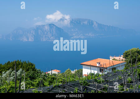 Scènes autour de Sorrento et la côte amalfitaine de souther Italie y compris Capri Banque D'Images