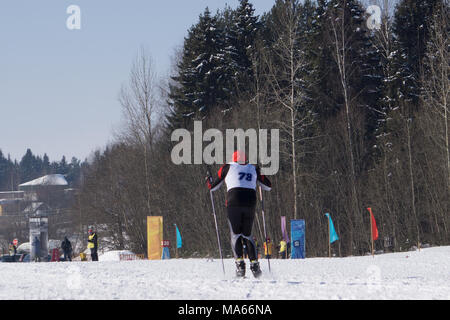 Skieur masculin hommes athlétiques en forêt d'hiver style libre lors de la Coupe du monde ski de compétition . Banque D'Images