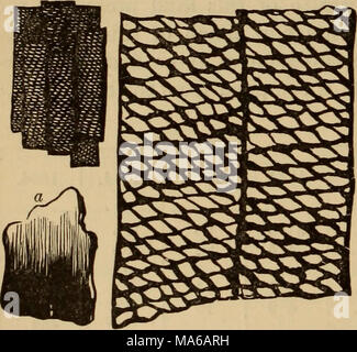 . Éléments de géologie : un texte-livre pour les collèges et pour le lecteur Banque D'Images