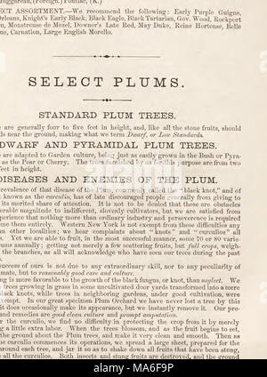 . Ellwanger &AMP ; Barry's Catalogue général Banque D'Images