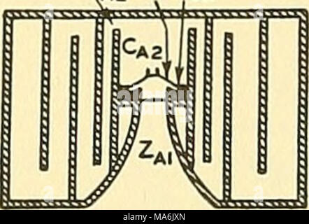 . Éléments de génie acoustique Banque D'Images