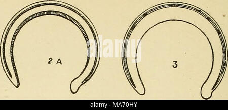 . Cours élémentaire sur la science vétérinaire : pour les étudiants en agriculture, les agriculteurs et éleveurs de stock . Banque D'Images