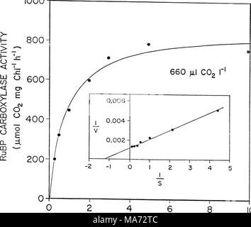 . Effets du dioxyde de carbone sur la physiologie et la biochimie de la photosynthèse dans le soja . 46 HC03" (mM) 10 Banque D'Images