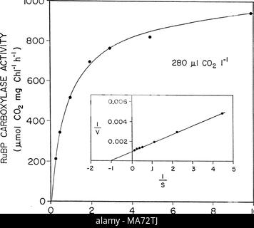 . Effets du dioxyde de carbone sur la physiologie et la biochimie de la photosynthèse dans le soja . 46 HC03" (mM) 10 Banque D'Images