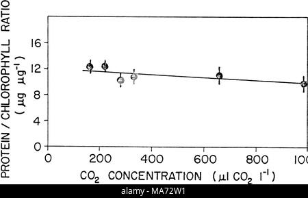 . Effets du dioxyde de carbone sur la physiologie et la biochimie de la photosynthèse dans le soja . 1000 Banque D'Images