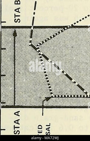 . Effets de la régénération des plages sur le sable du littoral de la faune sauvages à Imperial Beach, Californie . Banque D'Images