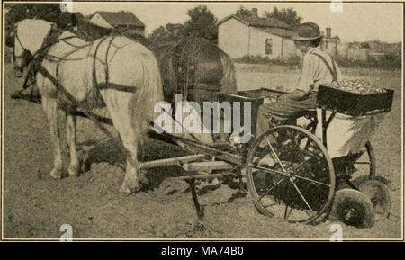 . L'agriculture efficace, un texte-livre pour les écoles américaines . Fig. 88. - Pomme de Terre-Semoir-a mise en œuvre d'économies de main-d. trop peu profonde, les tubercules constituent près de la surface et beaucoup sont susceptibles de devenir un coup de soleil par l'exposition. En outre généralement une plantation profonde donne de meilleurs rendements que près de la surface. Dans certaines sections près de la surface est pratiqué et, comme les plantes grandissent, la terre est sillonnée de sur les racines et tubercules. La figure 88 montre un bien utilisé type de pomme de terre-semoir. Ces machines sont efficaces et de main-d'épargnants sont possible lorsque de grandes surfaces sont plantées. 113. Cultiver la les champs de pommes de terre. - La culture est o Banque D'Images