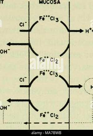 . D'électrolytes dans les systèmes biologiques, l'intégration de communications présentées à un symposium au laboratoire de biologie marine de Woods Hole, Massachusetts, le 8 septembre 1954 . HCO Banque D'Images