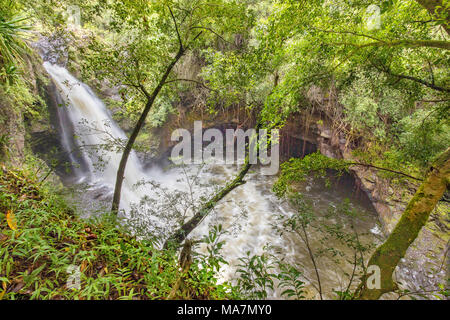 Un deux mile randonnée à partir de la route principale à travers une forêt de bambous vous amène à cela, l'une des nombreuses chutes d'eau qui traversent Oheo Gulch, situé près de Han Banque D'Images