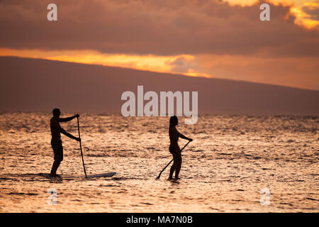 Mettre en place un homme et femme on stand up paddle boards profitez d'un superbe coucher de soleil avec l'île de Lanai dans l'arrière-plan au large de Maui, Hawaii, USA. Banque D'Images