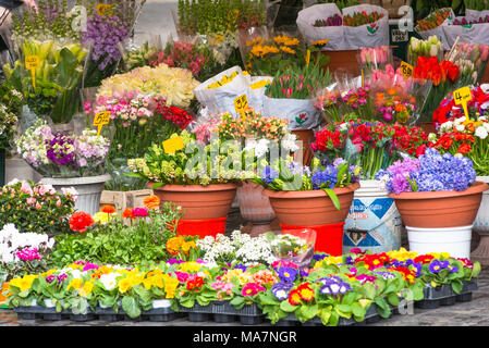 Blocage de fleurs au marché de Campo de Fiori, Rome, Latium, Italie. Banque D'Images