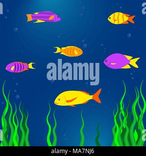 Poissons tropicaux colorés en mer, la vie sous-marine, de l'algue. Vector illustration dans télévision cartoon style Illustration de Vecteur