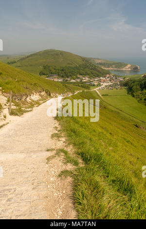 Le South West Coast Path en ordre décroissant vers le bas dans la crique de Lulworth Cove, sur la côte du Dorset, UK. Banque D'Images