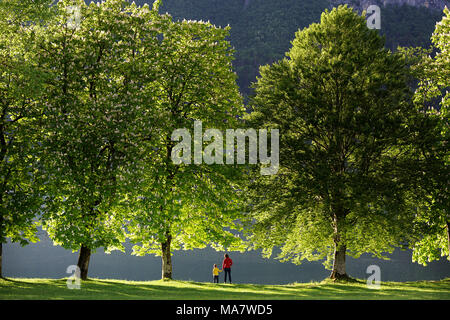 La mère et le fils debout sur l'herbe dans le cadre de beaux arbres verts par le lac de Bohinj, Alpes Juliennes, en Slovénie. Banque D'Images