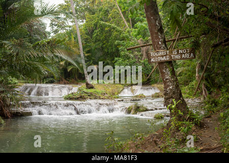 Un panneau interdisant les touristes d'une zone d'une petite cascade est suspendu à un arbre sur l'île tropicale de Siquijor aux Philippines. Banque D'Images