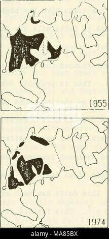 . Dans la zostère Buzzards Bay : distributation, la production, et les changements historiques dans l'abondance . Banque D'Images