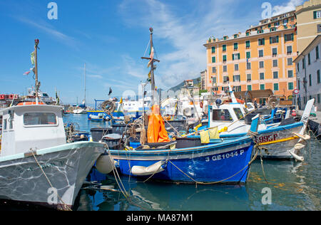 Port avec bateaux de pêche, Camogli, Ligurie, Riviera di Levante, Italie Banque D'Images