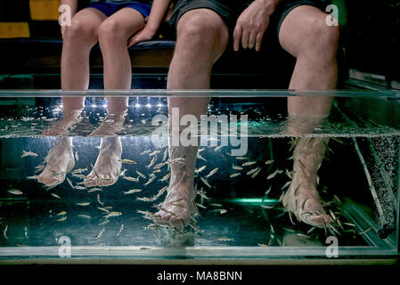 Pédicure. Traitement de spa de poisson impliquant les clients plaçant leurs pieds dans un réservoir d'eau rempli de poisson garra rufa sans dents. Alias Doctor Fish Banque D'Images