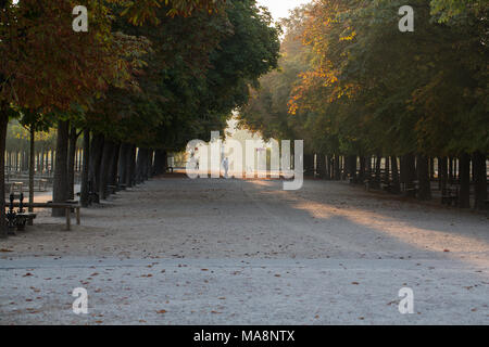 Promenade de la châtaigne dans les jardins du Luxembourg, Paris Banque D'Images