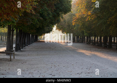 Promenade de la châtaigne dans les jardins du Luxembourg, Paris Banque D'Images