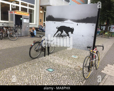 Affiche pour l'exposition de photographe tchèque Josef Koudelka dans l'Amerika Haus à Berlin, Allemagne. La célèbre photographie d'un chien noir sur la photo par Josef Koudelka en France en 1987 et publié dans son livre les exilés sont utilisés pour l'affiche. L'exposition est présentée jusqu'au 10 septembre 2017. Banque D'Images