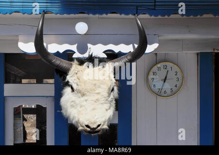 Yak mort tête sur le mur de la maison Banque D'Images