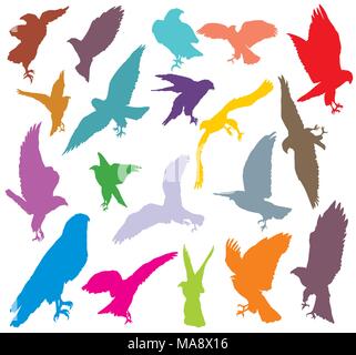 Ensemble de découpe coloré vecteur battant et silhouettes de assis, eagle hawk isolé sur fond blanc Illustration de Vecteur