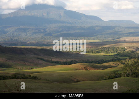 La Gran Sabana, Estado Bolivar, Venezuela Banque D'Images