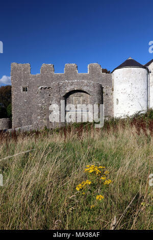 Château d'Oxwich sur la péninsule de Gower, au Pays de Galles, Royaume-Uni. Banque D'Images