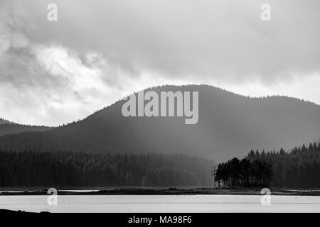 Petite île naturelle de pins et montagnes en couches hills contexte et petit troupeau d'oiseaux passant à travers les rayons du soleil. Image en noir et blanc à Banque D'Images