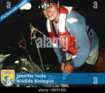 Jennifer Isola, # sciencewomen. Les femmes en péril  Mars est le Mois de l'histoire des femmes et nous voulons souligner certaines des femmes étonnantes ici à l'US Fish and Wildlife Service sur nos sites de médias sociaux. Nom : Jennifer Isola Titre : Biologiste de la Duty Station : Sacramento NWR complexe où avez-vous aller à l'école : Humboldt State University Qu'avez-vous l'étude : la gestion de la faune Comment est né votre intérêt pour la conservation ? J'ai toujours aimé être à l'extérieur. En tant que gosse, j'ai passé des heures innombrables à la proximité de creek. Je voudrais enregistrer des têtards de flaques de pluie derrière ma maison, puis les faire pousser Banque D'Images