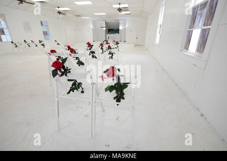 Intérieur de la première église baptiste de Sutherland SPRINGS, TX, est maintenant un mémorial aux 26 membres de la congrégation abattu durant le service en novembre 2017, avec une seule chaise blanche et rose rouge commémorant chaque victime. Banque D'Images