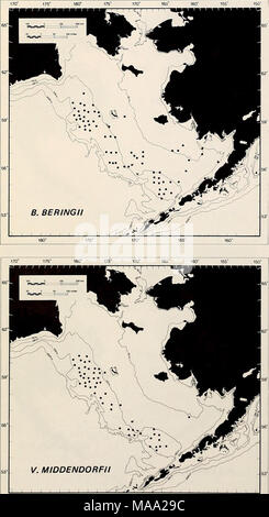. L'Est de la mer de Béring Tablette : océanographie et ressources / edited by Donald W. Hood et John A. Calder . Banque D'Images