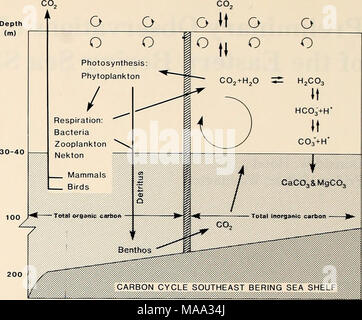 . L'Est de la mer de Béring Tablette : océanographie et ressources / edited by Donald W. Hood et John A. Calder . La figure 22-1. Flux de carbone simplifiée de l'écosystème. La verticale barre ombrée représente la division entre la partie organique et inorganique du dioxyde de système. cycle, montrant que les caractéristiques essentielles. Le cycle peut être divisé en plusieurs compartiments : gaz ex- changement grâce à la surface de la mer, comme commandé par Henry's Law ; les composants inorganiques dissous comme contrôlé par l'équilibre chimique du dioxyde de carbone, y compris les minéraux carbonatés ; photosynthes Banque D'Images