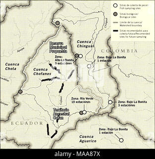 . Equateur : Cabeceras Cofanes-Chingual . Équateur : COFANES CABECERAS-CHINGUAL OCTUBRE/OCTOBRE 2009 73 Banque D'Images