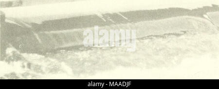 . L'écologie des marais du delta de la Louisiane côtière : un profil communautaire . Banque D'Images