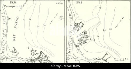 . L'écologie des marais du delta de la Louisiane côtière : un profil communautaire . Banque D'Images