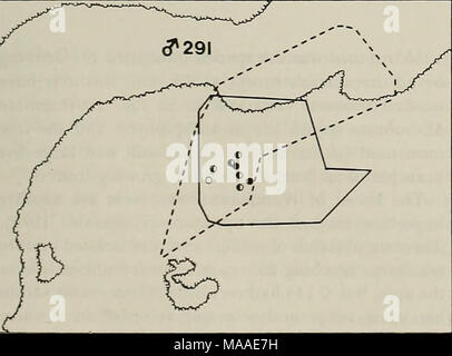 . L'écologie des folivores arboricole : un colloque organisé au Centre de recherche et de conservation, National Zoological Park, Smithsonian Institution, du 29 au 31 mai 1975 . Banque D'Images