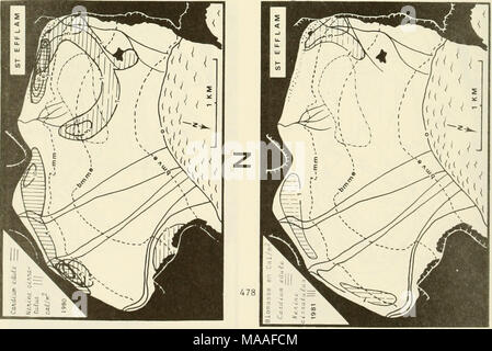 . Étude écologique de la marée noire de l'Amoco Cadiz : rapport de la NOAA-CNEXO Commission mixte scientifique . Banque D'Images